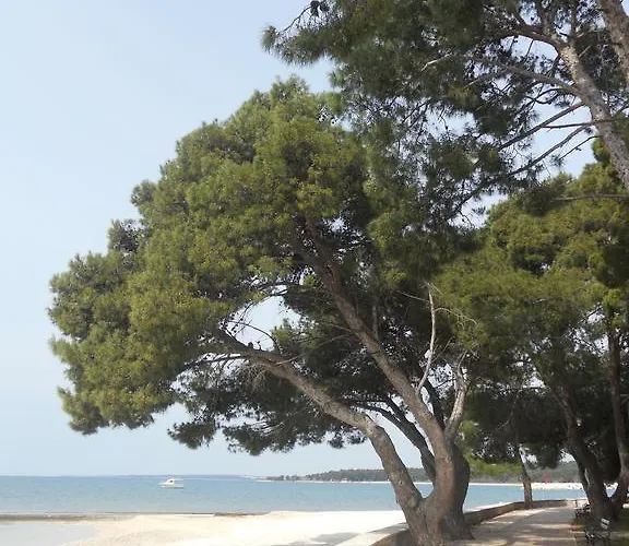 Stefani Apartamento *